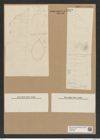 Rhizosolenia striata Grev. (de-Toni-Nr.: Genus 114, Species 3306) Zeichnungen Sammlung Grunow Nr. 6692 (NHMW-BOT-W0375492)